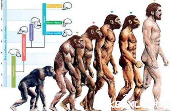 人类1000年后的样子 1000年后未来人的长像