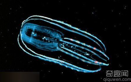 火星地下1.6公里发现极端环境生长的微生物