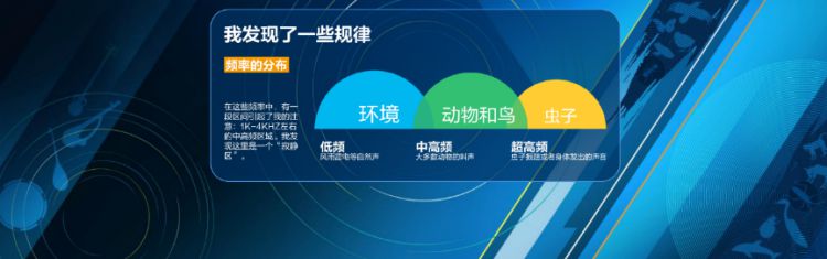以声为媒，声声入耳，DIGIXTALK陪你一起开启寻声之旅