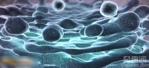 科学探秘：探索奇妙的3D人体内部世界的短片