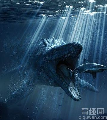 沧龙竟是龙族最强者 沧龙种群分布