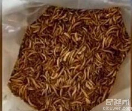 员工未完成业绩被罚吃活虫 当事人称只是游戏