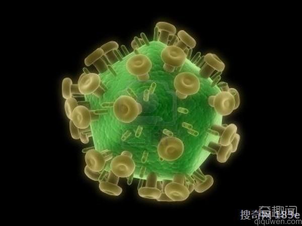 全球首起先天爱滋病治癒病例出生30小时用药是关键？