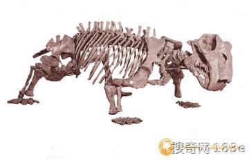 在恐龙之前，十种远古异兽
