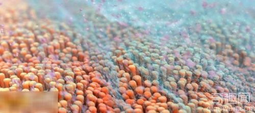 科学探秘：探索奇妙的3D人体内部世界的短片