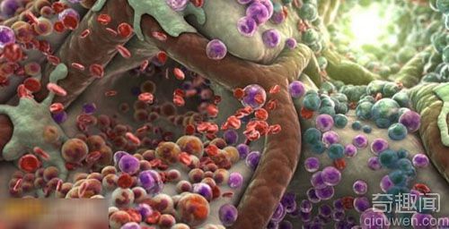 科学探秘：探索奇妙的3D人体内部世界的短片