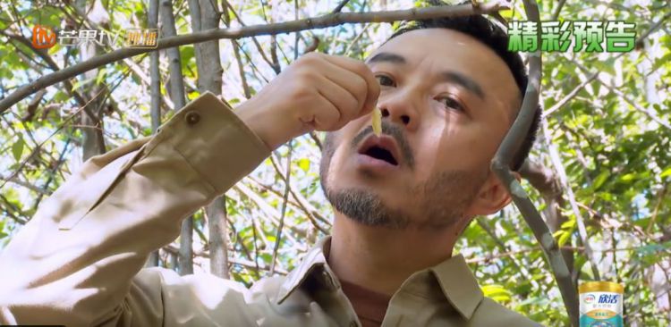 周末综艺指南：甄子丹“一个打十个”，郭敬明挑战神剧
