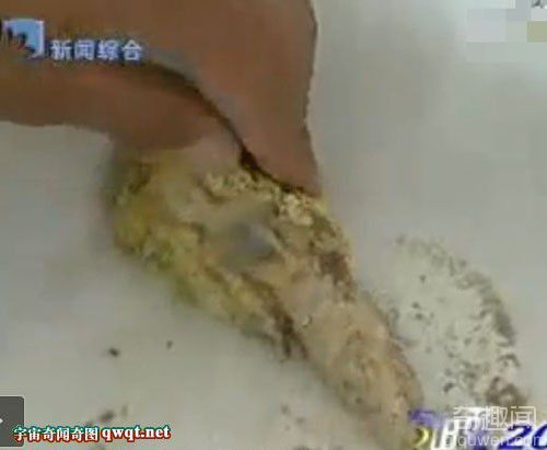 石家庄惊现诧异美人鱼真实报道 国内为首次(视频组图) 石家庄惊现诧异美人鱼真实报道 国内为首次(视频组图)