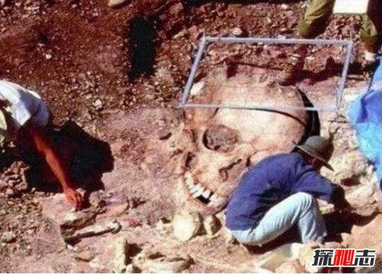 1962昆仑山螳螂人之谜，昆仑山螳螂人是真的吗(真的图片)