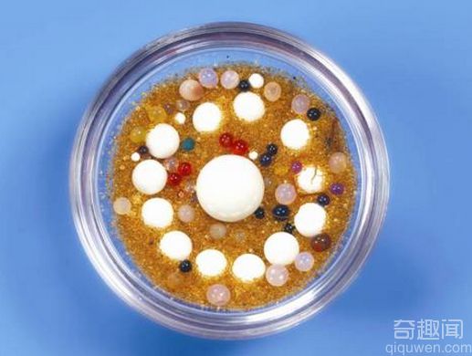 舍利子的流传历史和两大分类探索
