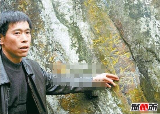 贵州红崖天书之谜，政府豪赠100万悬赏破解内容(图片)