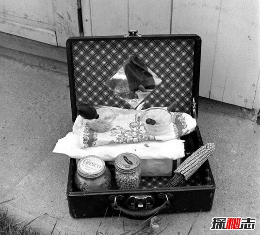 无头鸡仍存活18个月是真的吗？无头鸡怎么活