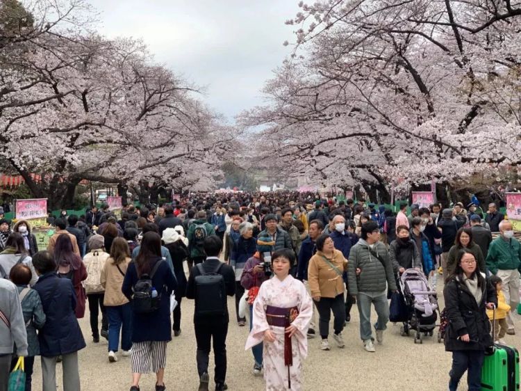 旅行是克服现代社会自闭症的方式之一——读《旅行的艺术》