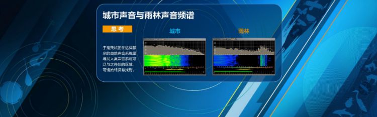 以声为媒，声声入耳，DIGIXTALK陪你一起开启寻声之旅