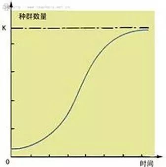 西天取经路上的妖精为何总也打不完？三张图带你读懂《西游记》