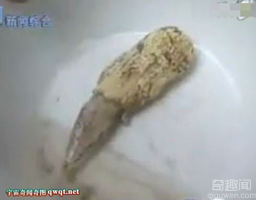 石家庄惊现诧异美人鱼真实报道 国内为首次(视频组图) 石家庄惊现诧异美人鱼真实报道 国内为首次(视频组图)