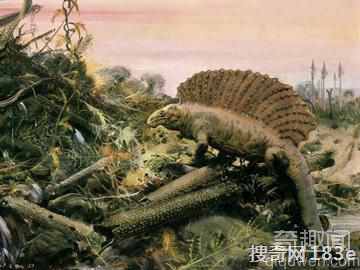 在恐龙之前，十种远古异兽