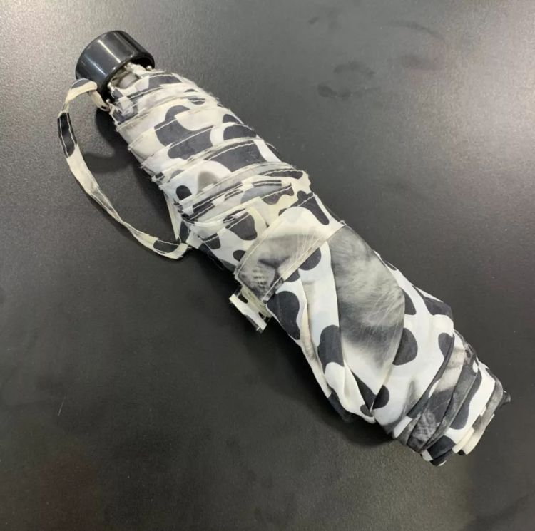 陪你打伞的没了，伞倒是留了一堆|被动收藏家