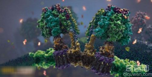 科学探秘：探索奇妙的3D人体内部世界的短片