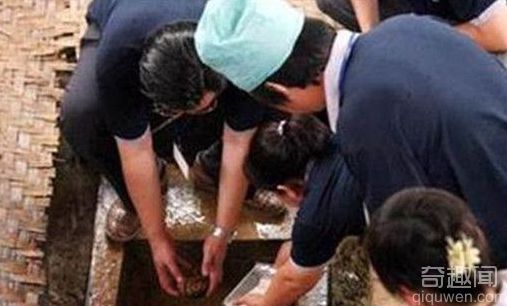 亚马逊森蚺对战凯门鳄 亚马逊森蚺的天敌