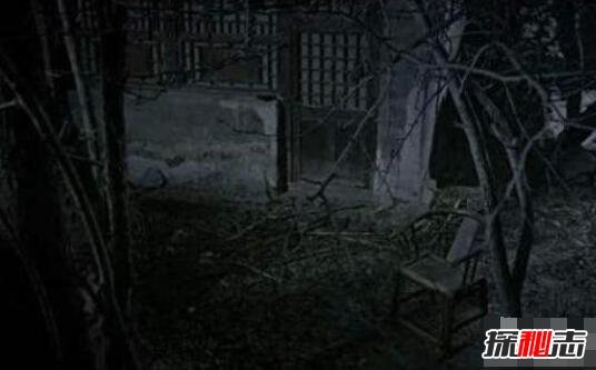 揭秘秦岭神秘事件真相，神秘机构925基地曝光