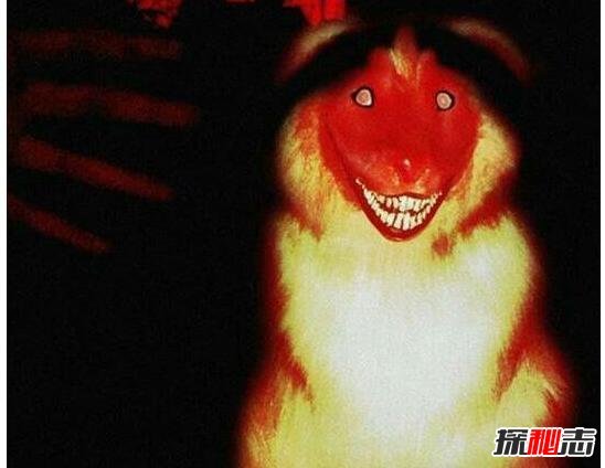 世界上最灵异恐怖照片吓死20万人，超惊悚恐怖/心脏病慎点