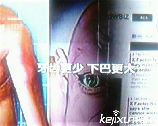 人类1000年后的样子 1000年后未来人的长像