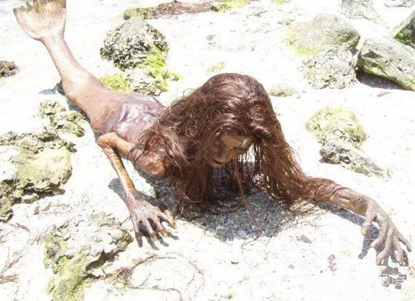 世界上美人鱼真的存在吗？ 美人鱼真身吓人图片