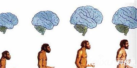 人类1000年后的样子 1000年后未来人的长像